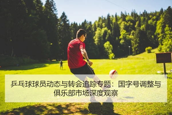 乒乓球球员动态与转会追踪专题：国字号调整与俱乐部市场深度观察